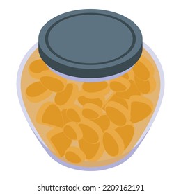 Pickled fruits icon. Isometric of Pickled fruits vector icon for web design isolated on white background