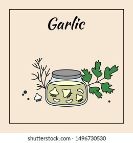 Pickled garlic in glass jar, vector illustration