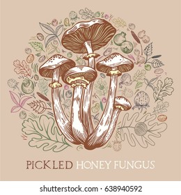 Pickled honey fungus mushroom with leaves, spices and berries in engraved style. Round shape pattern background in pale colors. Vector illustration for pickled mushrooms with lettering.