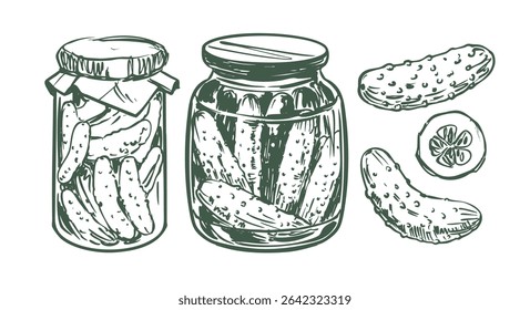 Pepinillos, pepinos en un frasco, bosquejo dibujado a mano, Ilustración vectorial realista