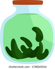 Pickles in jar , illustration, vector on white background