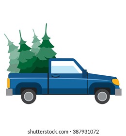 Pick-up driven in the trunk of a Christmas tree.
