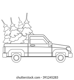 Pick-up driven in the trunk of a Christmas tree.