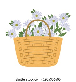 cesta de picnic con un paquete de diseño de ilustraciones vectoriales de flores blancas