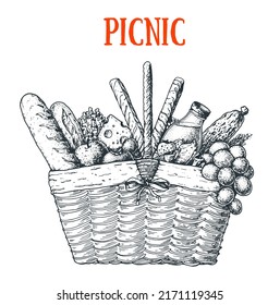 Picnic basket sketch. Hand drawn vector illustration. Summer food outdoors. Picnic basket with bread, grape, apple, cheese, tomatoes, salami. Food and drink illustration.