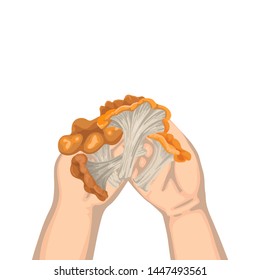 Picnic with children picking fruits in the forest, red mushrooms in the palms of a man, isolated illustration on a white background. Vector cartoon flat style
