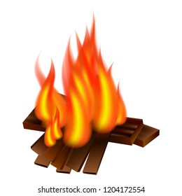 Picnic fire icon. Realistic illustration of picnic fire vector icon for web design