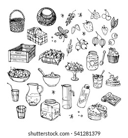 Picnic in a garden - fresh berries, desserts and drinks. Drawing by hand. Vector illustration.