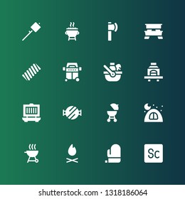 picnic icon set. Collection of 16 filled picnic icons included Scout, Mitt, Bonfire, Grill, Camping, Barbecue, Barbecue grill, Picnic, Marshmallow, table, Ax