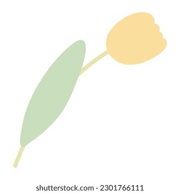 Picnic item enjoyment in summer 