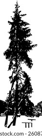 A picnic table and a bench under a tall spruce, covered in snow, surrounded by trees
