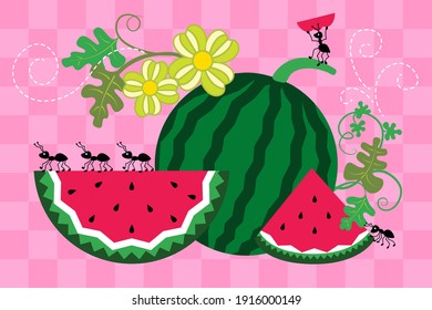  Picnic vector illustration. Cute ants, watermelon, leaves and flowers on a pink checkered background.  Cartoon style.