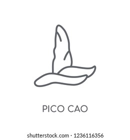 Pico cao linear icon. Modern outline Pico cao logo concept on white background from Culture collection. Suitable for use on web apps, mobile apps and print media.