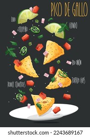 Pico de gallo, Mexican food. Vector illustration