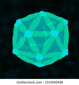 Picornavirales virus on dark background, vector illustration