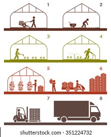 Pictogram icon set presenting different stages in agricultural process and gardening. Plowing, sowing, watering, picking and warehousing, transporting.