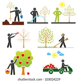 Pictograms representing people taking care of fruit tree