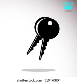 Pictograph of key icon