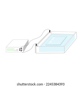 The picture of agarose gel electrophoresis technique for DNA detection that identifies the target molecule with molecular weight compare to the standard DNA.