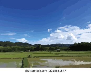 picture of the atmosphere of the rice fields