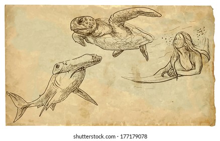 Picture of Australian life: Surfing woman (under the sea surface) sank between hammerhead shark and turtle. Vector hand drawn illustration (drawings on vintage paper in the bottom layer).