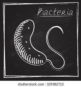 
Picture bacteria chalk on blackboard