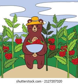 Picture of a bear cub in a panama hat picking raspberries. Vector illustration