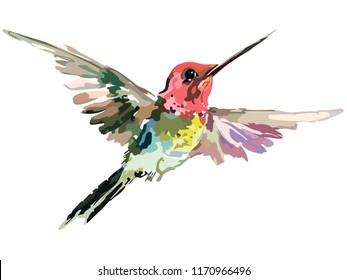 Picture of a bird in color. Vector