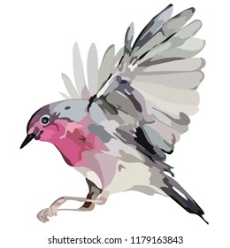 Picture of a bird in color. Vector