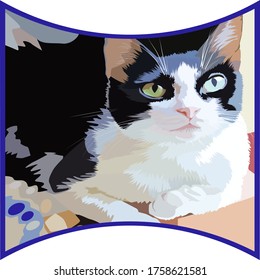 Picture of a black white cat. Kitty with black ears and white mustache, white paws. Cat with yellow eyes. Painting with a pet.