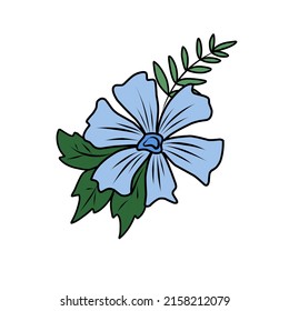 picture of blue flower that looks very beautiful