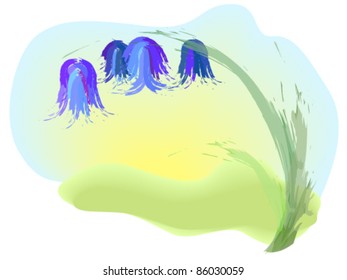 a picture of bluebell