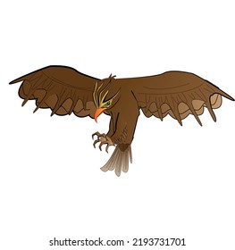 picture of a brown color hawk hunting in white background vector.
