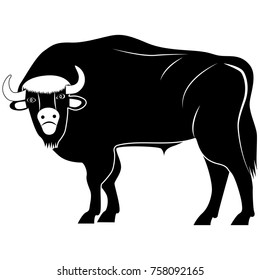 Picture of buffalo silhouette for retro logos, emblems, badges, labels template vintage design element. Isolated on white background