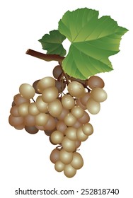 picture of a bunch of grapes