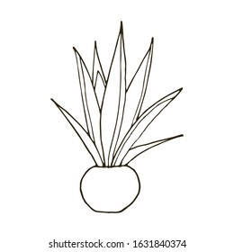 The picture of the cactus. Circuit. Aloe. Vector illustration.