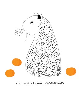 picture with capybara and oranges