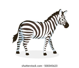 Picture cartoon vector portrait of Zebra . Cartoon animal. Vector illustration. Flat design. 