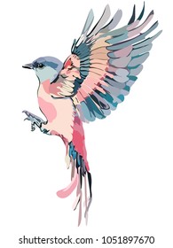 Picture of a colored bird. Vector