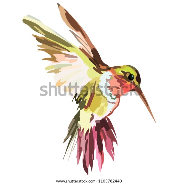 色付き鳥の画像 ベクター画像 のベクター画像素材 ロイヤリティフリー