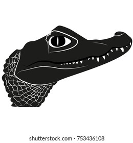 Picture of a crocodile head for retro hipster logos, emblems, badges, labels template and t-shirt vintage design element. Isolated on white background