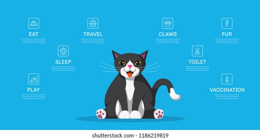 Picture of cute cat with icons of cat needs. Infographic template for pet shop, website, brochure design. Flat style illustration.