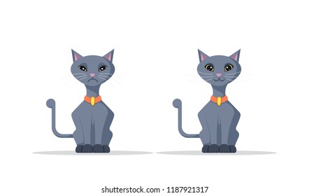 Picture of a cute domestic cat isolated on white background. Flat style illustration.