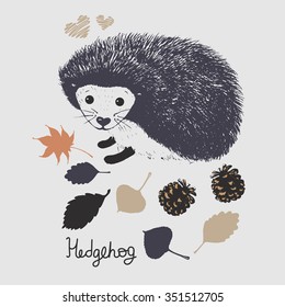 picture of cute hand drawn hedgehog with forest cones and leaves in vector. can be used for kids' or babies' shirt designs