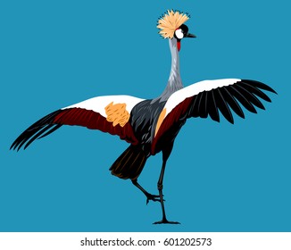 Picture of a dancing Crowned  shadoofs