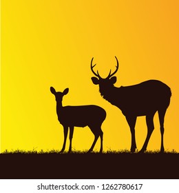 Picture deer Standing Against on ground Orange.