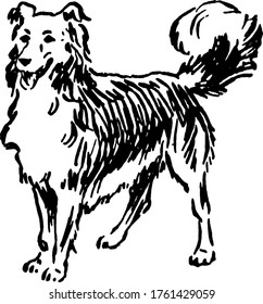 The picture depicts a dog facing left and has a long snout and non-retractable claws. Dogs are generally considered as man's best friend, vintage line drawing or engraving illustration.
