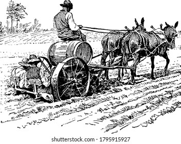The picture depicts a transplanting machine. It sets and waters the plants as fast as the team pulls the machine along the rows. Two men on seats at the rear drop the plants at the required intervals