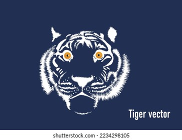 Picture of the face and eyes of a tiger. Animals. Big cats. Predatory mammals.