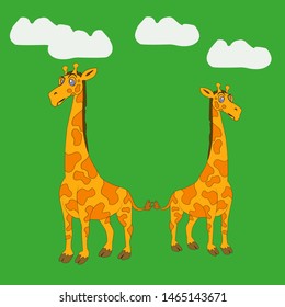 In the picture, a family of two giraffes, adult giraffes cling to their tails, between them love, joy, respect.